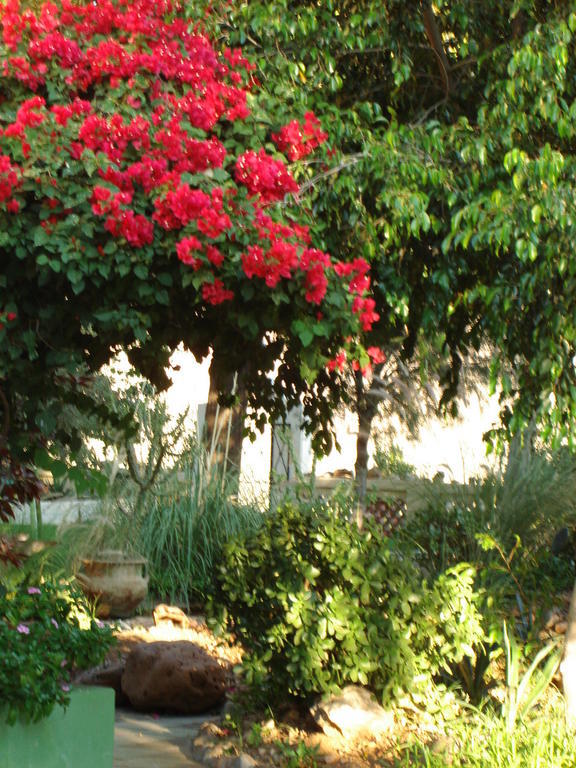 Corona Guest Farm Dış mekan fotoğraf
