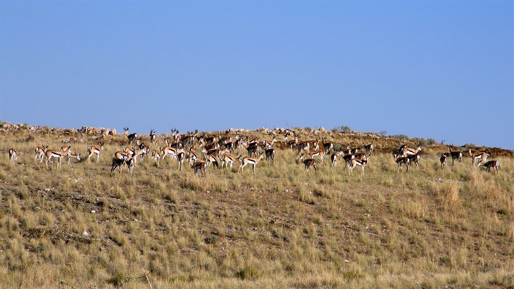 Corona Guest Farm Dış mekan fotoğraf